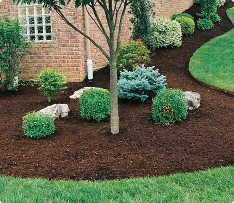 mulch in flower bed