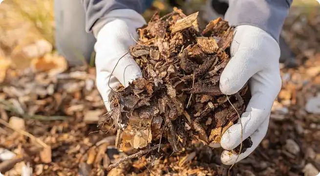 Mulch Delivery Near Me