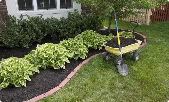 mulch flower bed