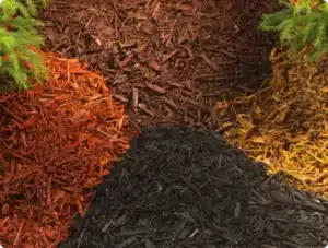 Black mulch vs brown mulch used in Maryland and Northern Virginia landscaping beds