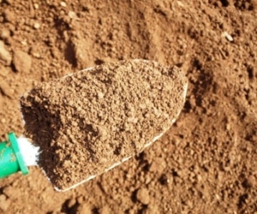 topsoil