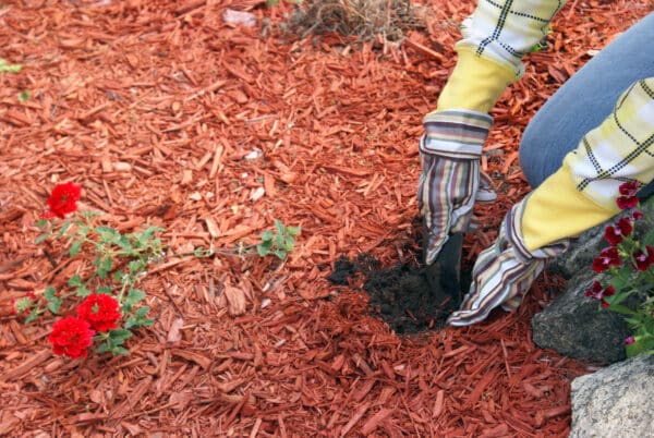 A gardener tends to the garden for planting flowers.