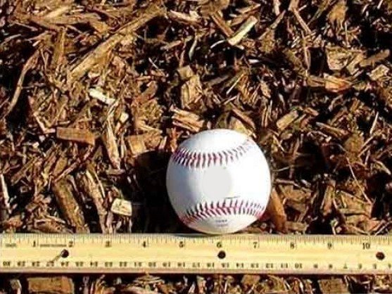 Double shredded hardwood mulch with a baseball and ruler for size, delivered in MD and VA