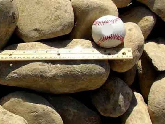 3-5 inch river rock with a baseball and ruler for size