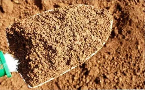 Premium screened topsoil delivery for lawns and gardens